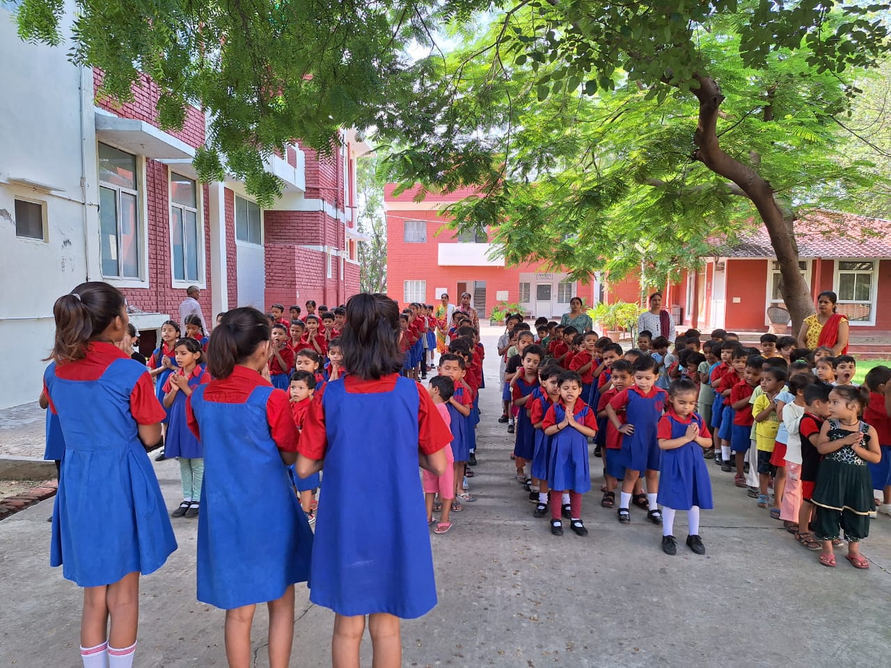 school